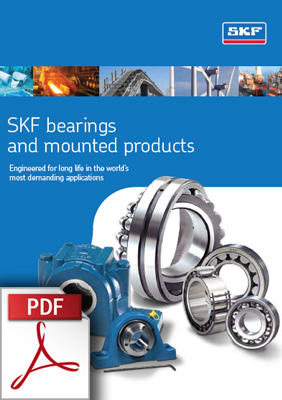 Cataloghi SKF